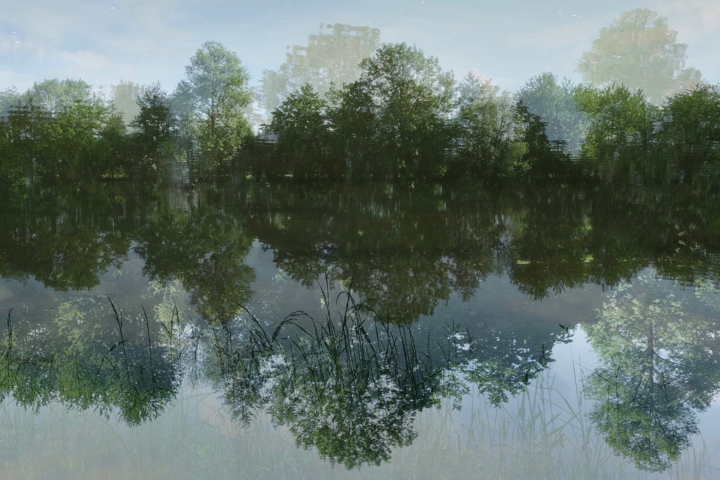 Beate C. Koehler_2022_RIVERBANK