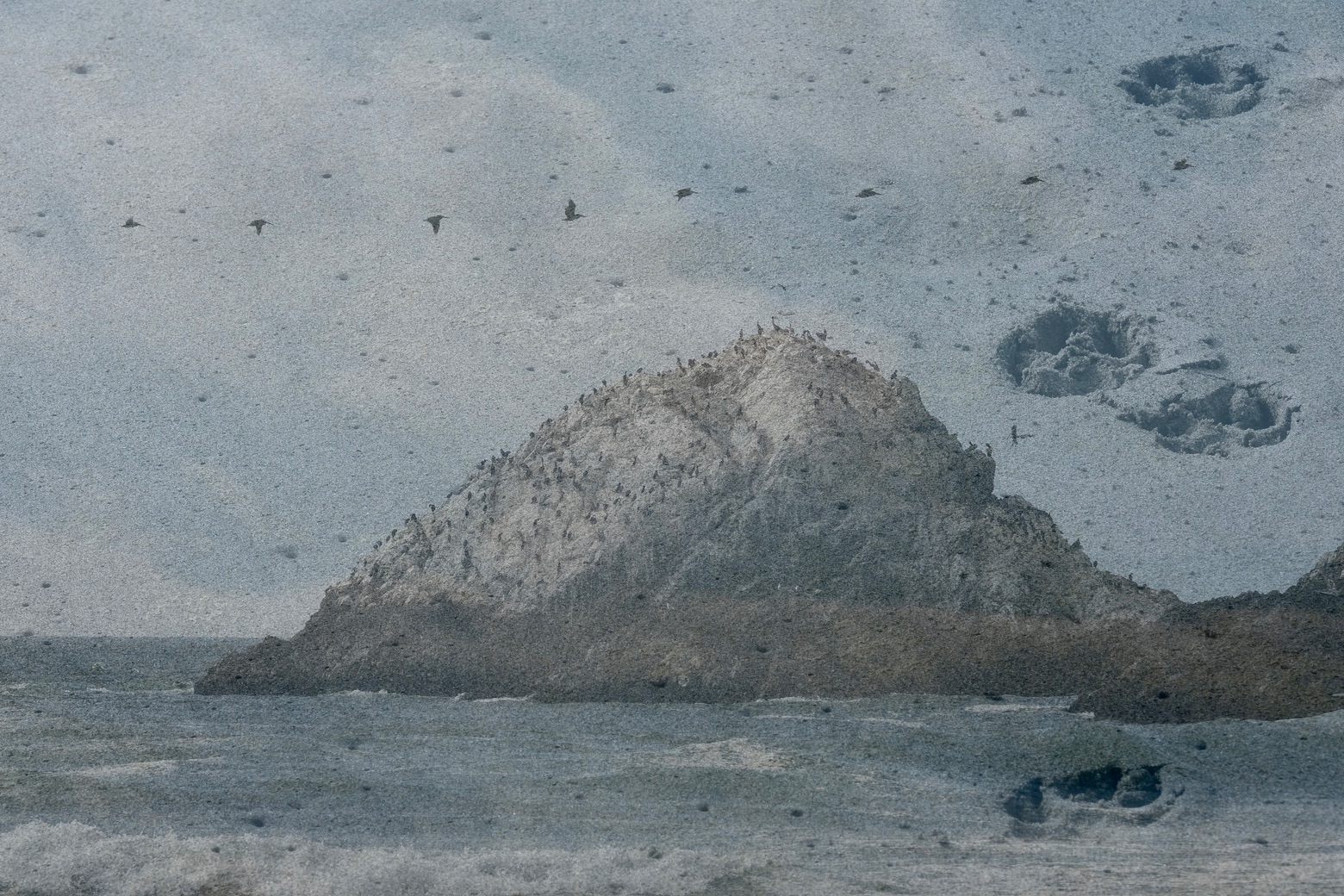 Beate C. Koehler_2022_SEAL ROCK